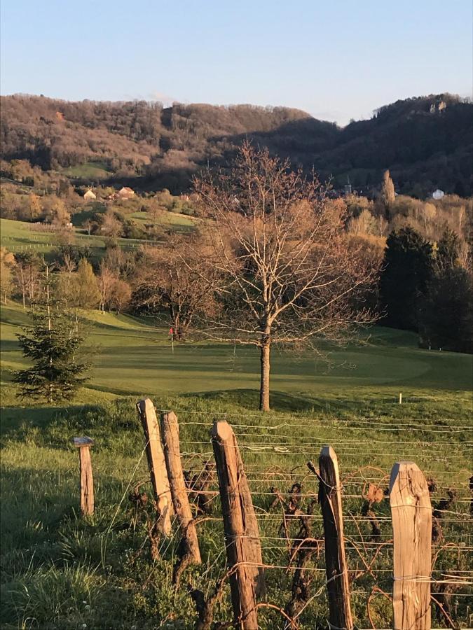 Golf Val De Sorne Vernantois Maison Vigneronne מראה חיצוני תמונה